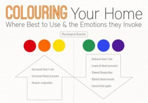 coloring-your-home-interior-design-infographic-2-537x375